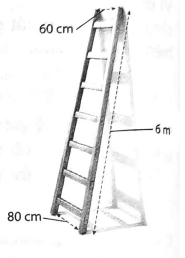 Hình minh họa câu hỏi